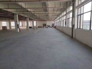 廣州市番禺區(qū)帶消防噴淋有現(xiàn)成環(huán)評(píng)食品廠出租